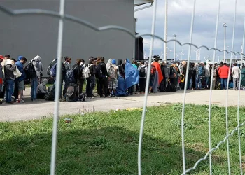 Refugiados migrantes