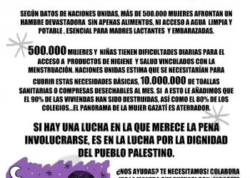 Cartel de Albacete con Palestina para el 8M