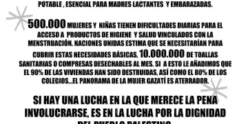 Cartel de Albacete con Palestina para el 8M