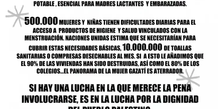 Cartel de Albacete con Palestina para el 8M