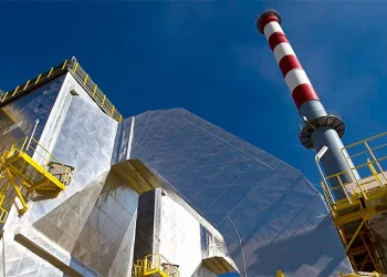 Luces y sombras de las centrales de biomasa