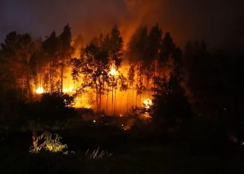 Cambio climático, y abandono del monte: una combinación incendiaria