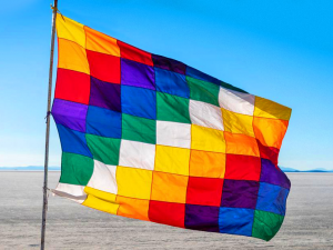 Bandera Pueblos Originarios