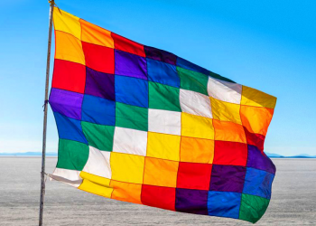 Bandera Pueblos Originarios