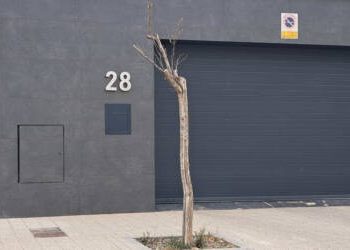 La Plataforma Más Árboles Albacete alerta de la falta de 727 en las calles de Albacete