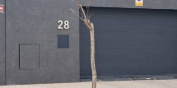 La Plataforma Más Árboles Albacete alerta de la falta de 727 en las calles de Albacete