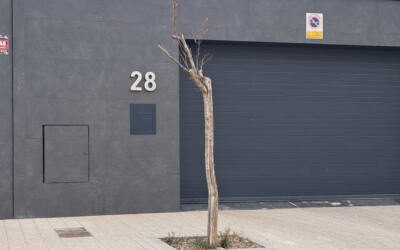 La Plataforma Más Árboles Albacete alerta de la falta de 727 en las calles de Albacete