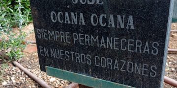 Pepico vive
